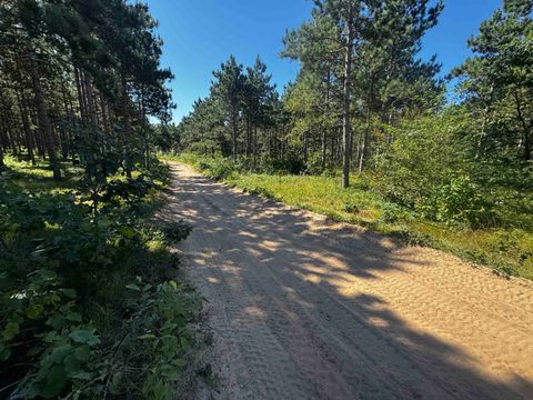 Tiny photo for 77 AC State Highway 13 Acres, Nekoosa, WI 54457 (MLS # 2009949)