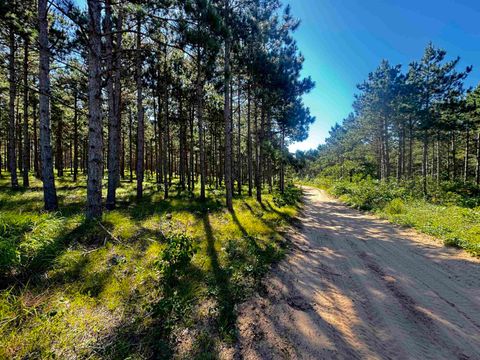 Tiny photo for 77 AC State Highway 13 Acres, Nekoosa, WI 54457 (MLS # 2009949)