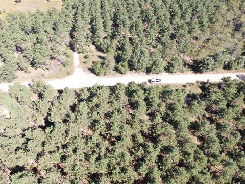 Tiny photo for 77 AC State Highway 13 Acres, Nekoosa, WI 54457 (MLS # 2009949)
