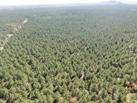 Tiny photo for 77 AC State Highway 13 Acres, Nekoosa, WI 54457 (MLS # 2009949)