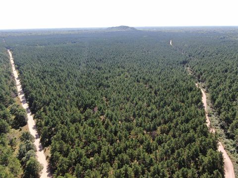 Photo of 77 AC State Highway 13 Acres, Nekoosa, WI 54457 (MLS # 2009949)