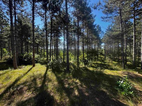 Tiny photo for 77 AC State Highway 13 Acres, Nekoosa, WI 54457 (MLS # 2009949)