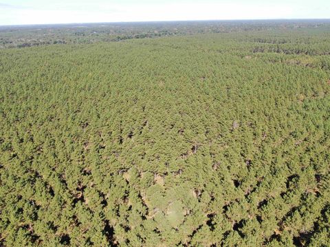 Tiny photo for 77 AC State Highway 13 Acres, Nekoosa, WI 54457 (MLS # 2009949)