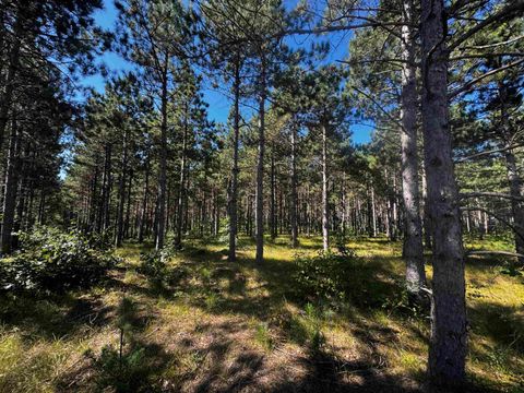 Tiny photo for 77 AC State Highway 13 Acres, Nekoosa, WI 54457 (MLS # 2009949)