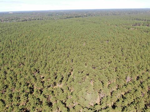 Tiny photo for 77 AC State Highway 13 Acres, Nekoosa, WI 54457 (MLS # 2009949)