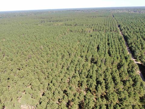 Tiny photo for 77 AC State Highway 13 Acres, Nekoosa, WI 54457 (MLS # 2009949)
