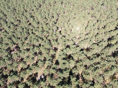 Tiny photo for 77 AC State Highway 13 Acres, Nekoosa, WI 54457 (MLS # 2009949)