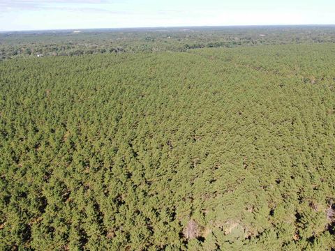 Tiny photo for 77 AC State Highway 13 Acres, Nekoosa, WI 54457 (MLS # 2009949)