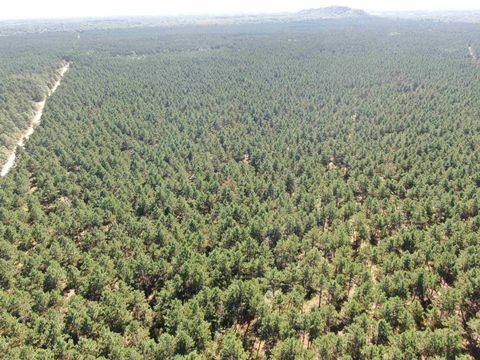 Tiny photo for 77 AC State Highway 13 Acres, Nekoosa, WI 54457 (MLS # 2009949)