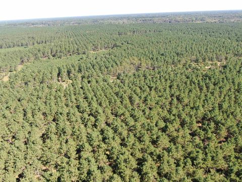 Tiny photo for 77 AC State Highway 13 Acres, Nekoosa, WI 54457 (MLS # 2009949)