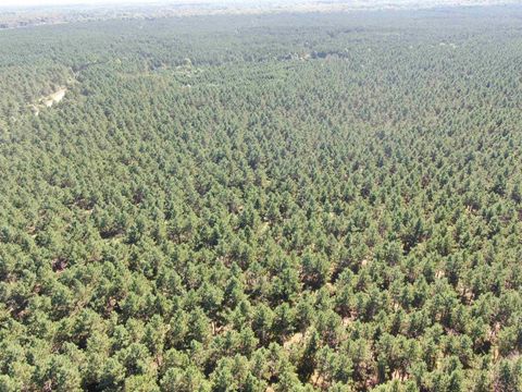 Tiny photo for 77 AC State Highway 13 Acres, Nekoosa, WI 54457 (MLS # 2009949)