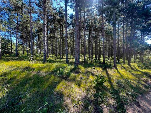 Tiny photo for 77 AC State Highway 13 Acres, Nekoosa, WI 54457 (MLS # 2009949)