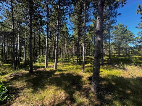 Tiny photo for 77 AC State Highway 13 Acres, Nekoosa, WI 54457 (MLS # 2009949)