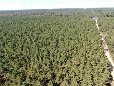Tiny photo for 77 AC State Highway 13 Acres, Nekoosa, WI 54457 (MLS # 2009949)