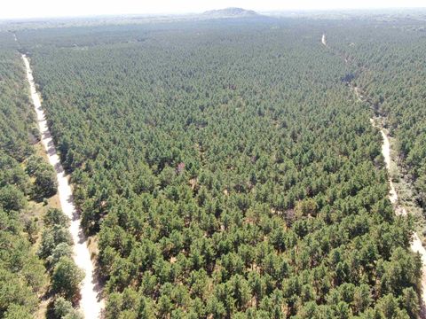 Tiny photo for 77 AC State Highway 13 Acres, Nekoosa, WI 54457 (MLS # 2009949)
