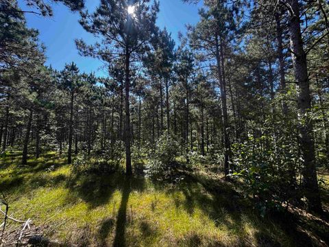 Tiny photo for 77 AC State Highway 13 Acres, Nekoosa, WI 54457 (MLS # 2009949)