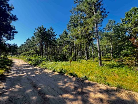 Tiny photo for 77 AC State Highway 13 Acres, Nekoosa, WI 54457 (MLS # 2009949)