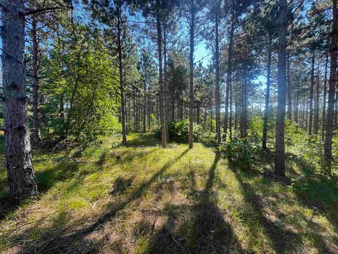 Tiny photo for 77 AC State Highway 13 Acres, Nekoosa, WI 54457 (MLS # 2009949)