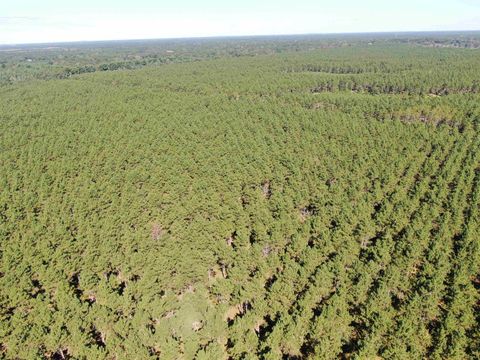 Tiny photo for 77 AC State Highway 13 Acres, Nekoosa, WI 54457 (MLS # 2009949)