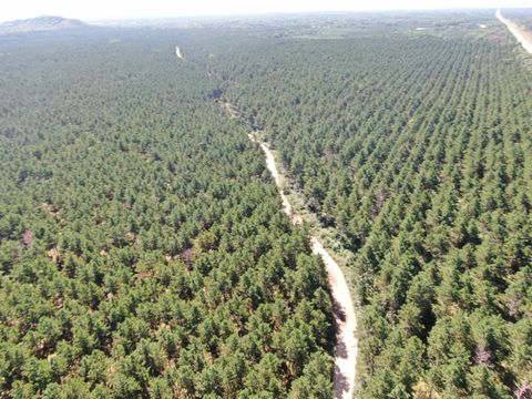 Tiny photo for 77 AC State Highway 13 Acres, Nekoosa, WI 54457 (MLS # 2009949)