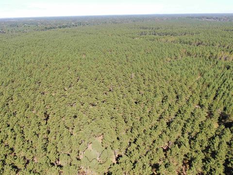 Tiny photo for 77 AC State Highway 13 Acres, Nekoosa, WI 54457 (MLS # 2009949)