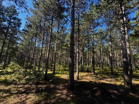 Tiny photo for 77 AC State Highway 13 Acres, Nekoosa, WI 54457 (MLS # 2009949)