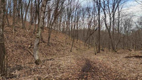 Photo of 0000 Vineyard Road, Prairie Du Chien, WI 53821 (MLS # 2017129)