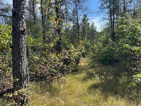 Photo of 36.34 Ac Retirement Lane, Necedah, WI 54646 (MLS # 2024183)