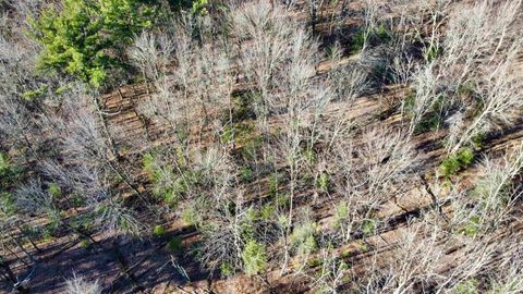 Tiny photo for xxxx 11th Avenue, Arkdale, WI 54613 (MLS # 2009556)