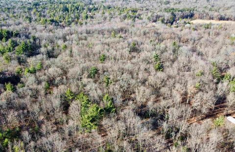 Tiny photo for xxxx 11th Avenue, Arkdale, WI 54613 (MLS # 2009556)