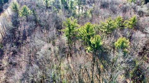 Tiny photo for xxxx 11th Avenue, Arkdale, WI 54613 (MLS # 2009556)