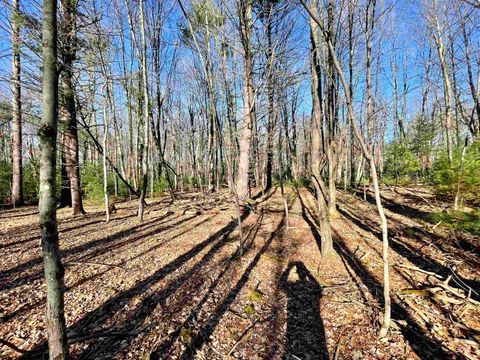 Tiny photo for xxxx 11th Avenue, Arkdale, WI 54613 (MLS # 2009556)