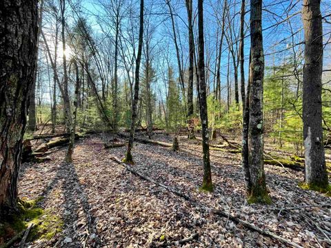 Tiny photo for xxxx 11th Avenue, Arkdale, WI 54613 (MLS # 2009556)