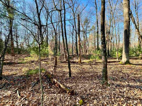 Tiny photo for xxxx 11th Avenue, Arkdale, WI 54613 (MLS # 2009556)