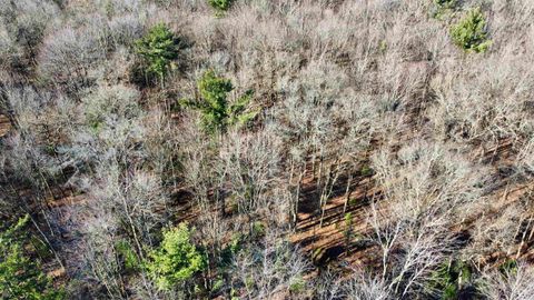 Tiny photo for xxxx 11th Avenue, Arkdale, WI 54613 (MLS # 2009556)