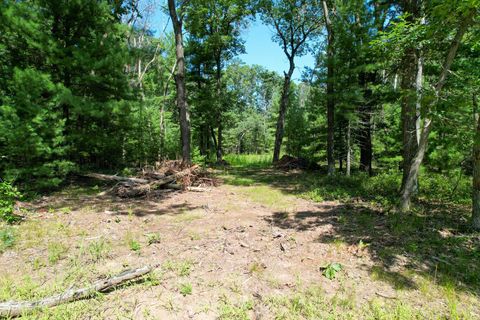 Tiny photo for L15 Czech, Friendship, WI 53934 (MLS # 2006533)