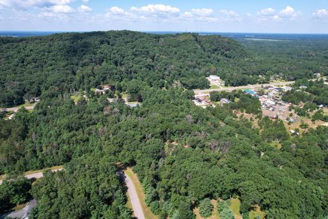 Tiny photo for L15 Czech, Friendship, WI 53934 (MLS # 2006533)