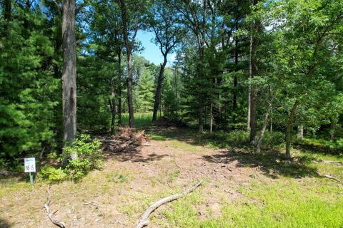 Tiny photo for L15 Czech, Friendship, WI 53934 (MLS # 2006533)