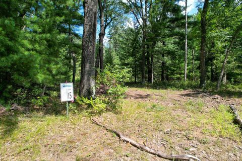 Tiny photo for L15 Czech, Friendship, WI 53934 (MLS # 2006533)