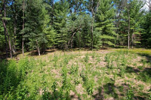 Tiny photo for L15 Czech, Friendship, WI 53934 (MLS # 2006533)