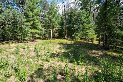 Tiny photo for L15 Czech, Friendship, WI 53934 (MLS # 2006533)