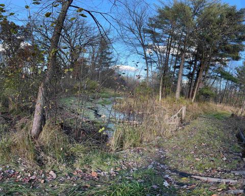 Tiny photo for N6270 County Road B, Westfield, WI 53964 (MLS # 2006253)