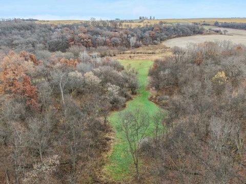 Tiny photo for 7797 Schurch Street, Barneveld, WI 53507 (MLS # 2012841)