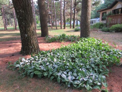 Tiny photo for 709 W 17th Drive, Arkdale, WI 54613 (MLS # 2002657)