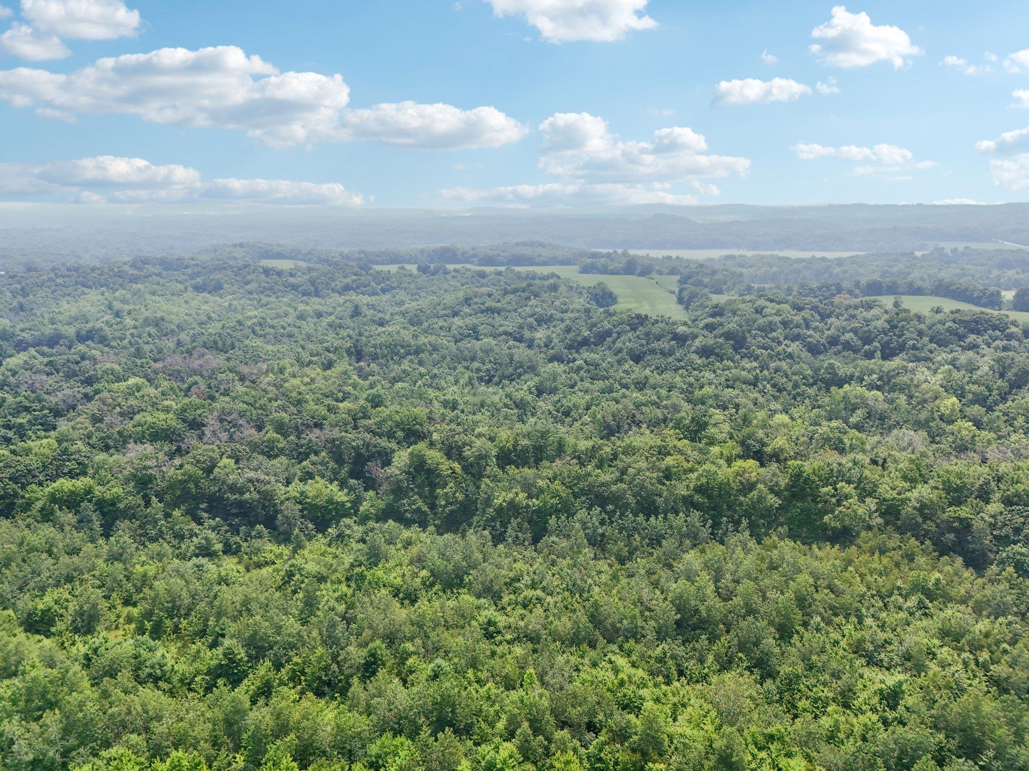 Wisconsin Dells, Wisconsin 53965, United States, ,Land,Active,186596