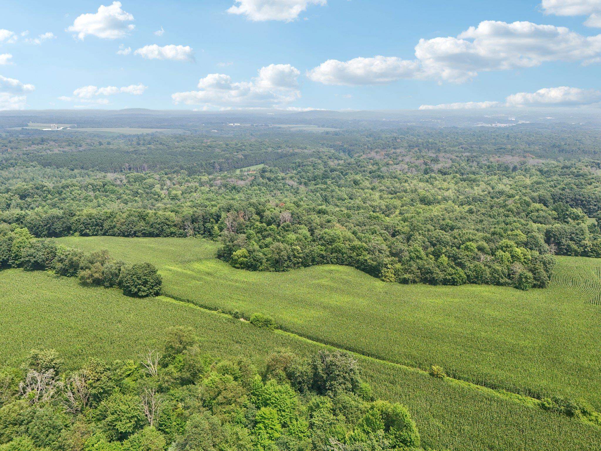 Wisconsin Dells, Wisconsin 53965, United States, ,Land,Active,186596