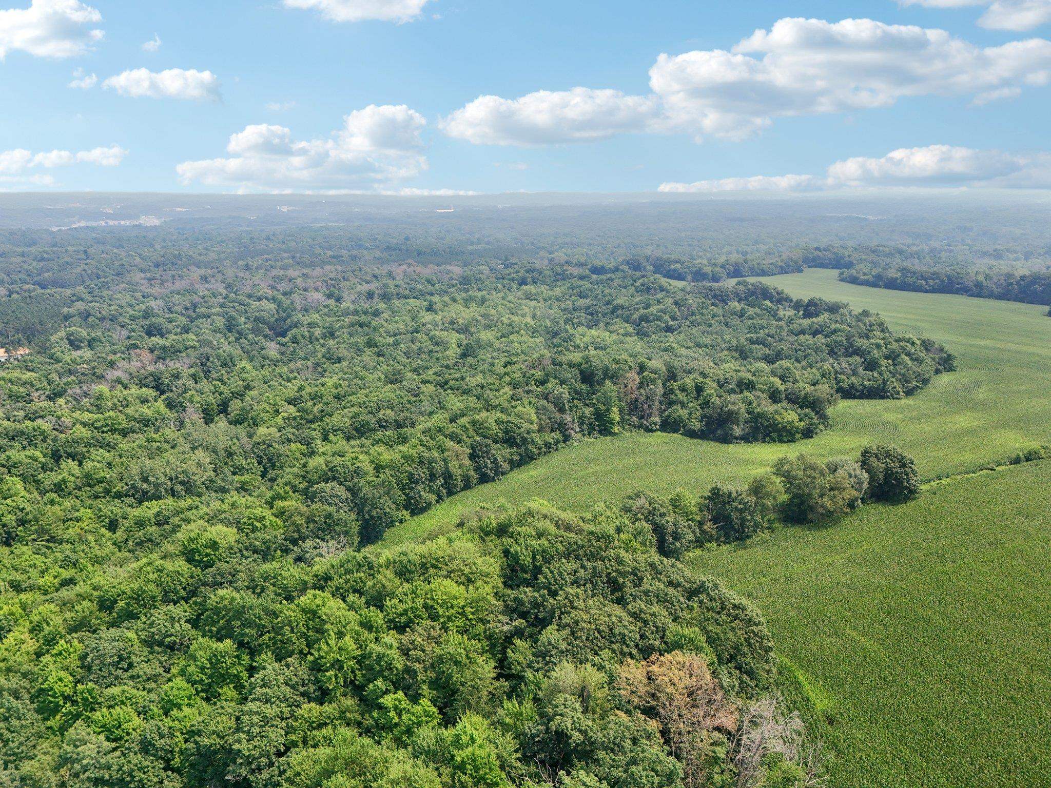 Wisconsin Dells, Wisconsin 53965, United States, ,Land,Active,186596