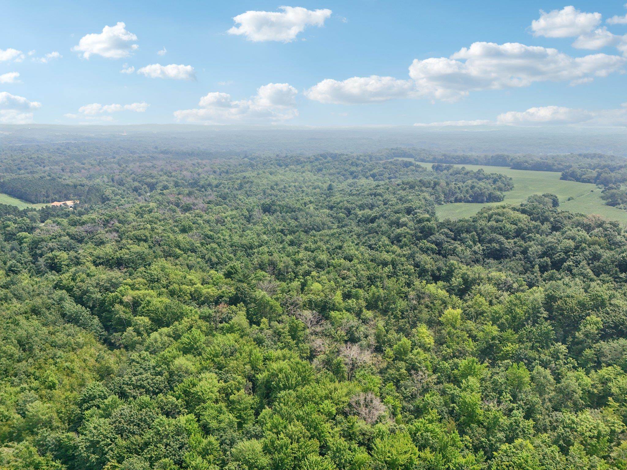 Wisconsin Dells, Wisconsin 53965, United States, ,Land,Active,186596