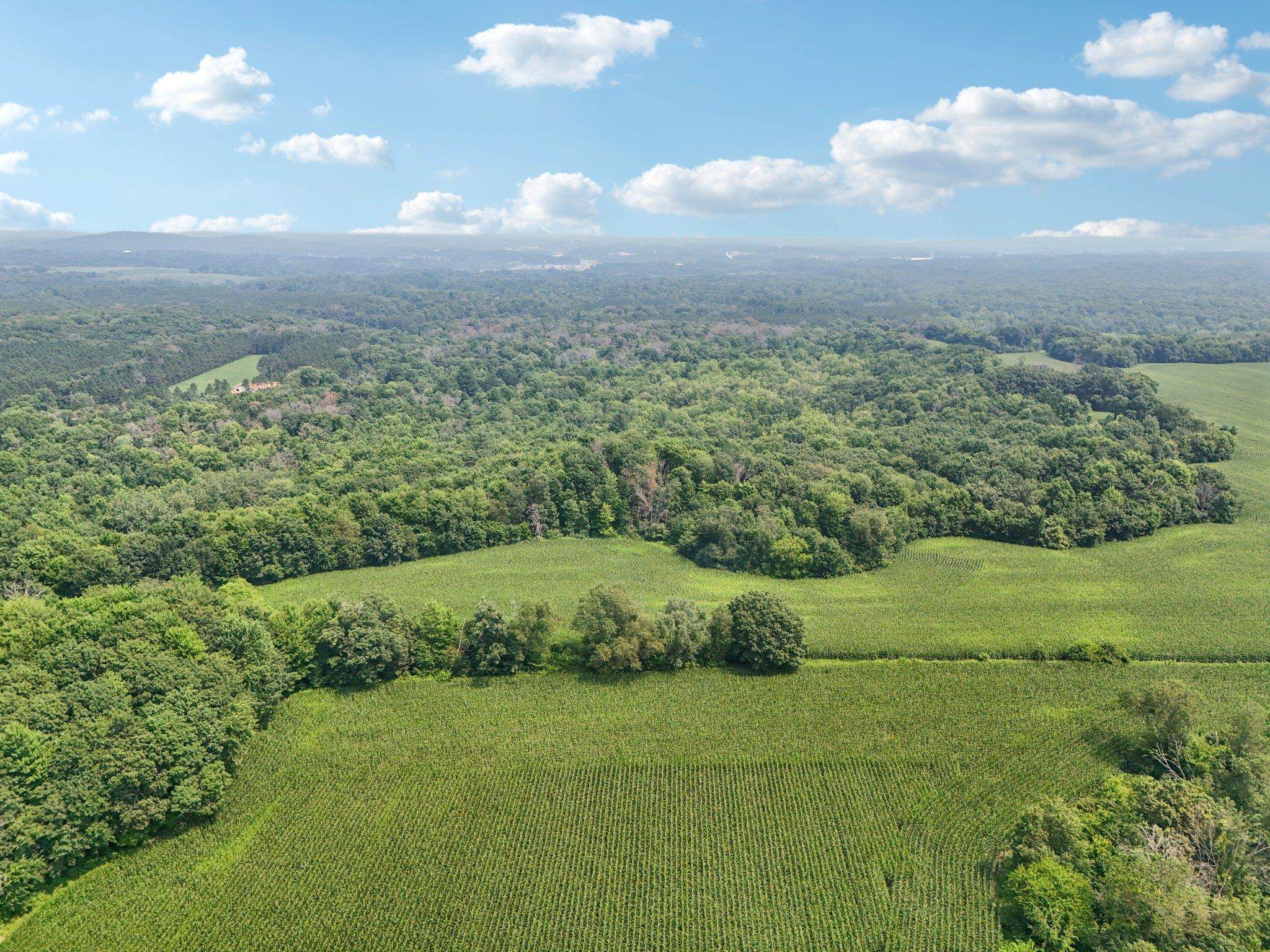 Wisconsin Dells, Wisconsin 53965, United States, ,Land,Active,186596