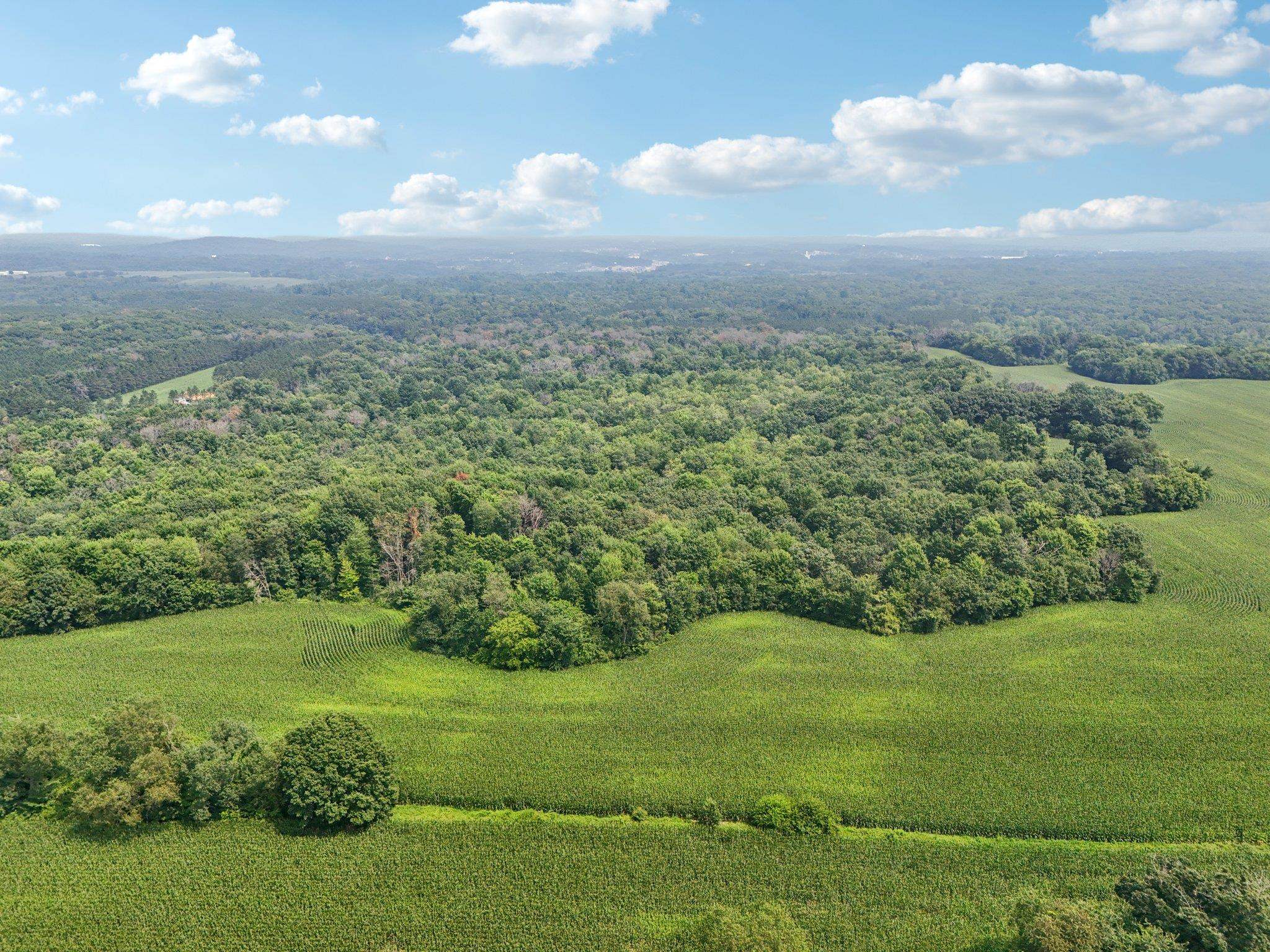 Wisconsin Dells, Wisconsin 53965, United States, ,Land,Active,186596